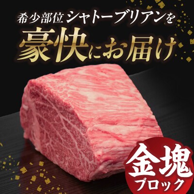 山形牛シャトーブリアン 金塊ブロック 450g 【肉の小林】 058-001