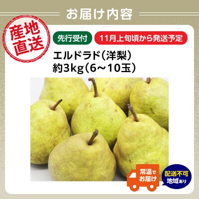 ≪先行受付≫エルドラド(洋梨)3kg 6～10玉 【2025年11月上旬～発送予定】 054-004