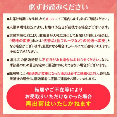 ≪先行受付≫エルドラド(洋梨)3kg 6～10玉 【2025年11月上旬～発送予定】 054-004