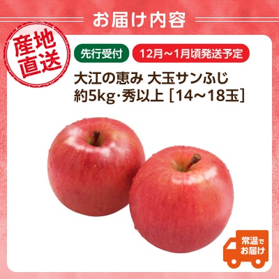 大江の恵み 大玉サンふじ約5kg・秀以上 【2025年12月中旬発送予定】 003-029 