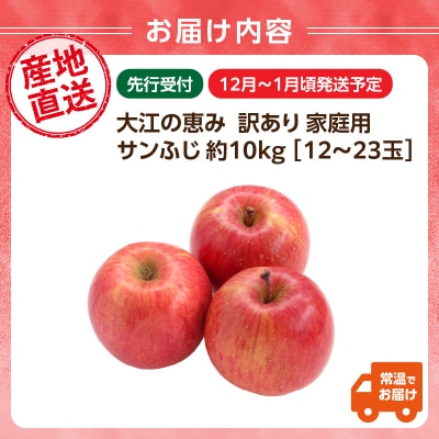 大江の恵み 訳あり 家庭用サンふじ約10kg【2025年12月中旬発送予定】 003-030　 