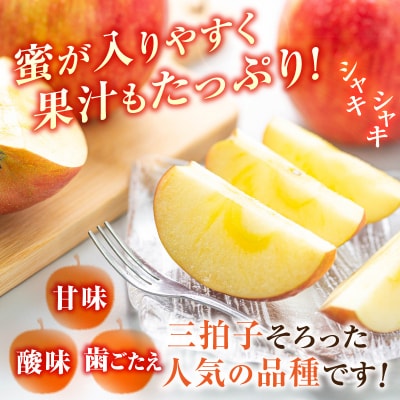 ≪先行受付≫ふじりんご 5kg パック詰め 【2026年11月中旬～順次発送予定】 057-001