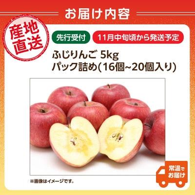 ≪先行受付≫ふじりんご 5kg パック詰め 【2026年11月中旬～順次発送予定】 057-001