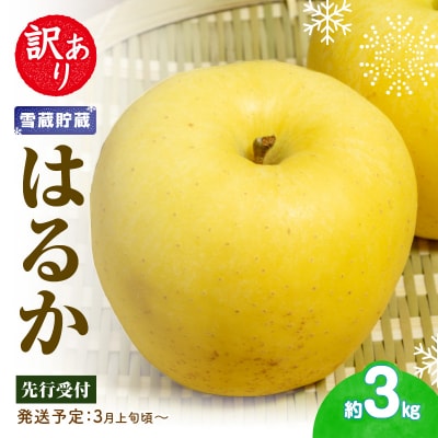 《先行受付》訳あり 雪蔵貯蔵 はるかりんご 約3kg【2025年3月上旬頃～発送予定】015-068