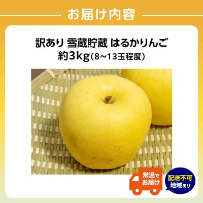 《先行受付》訳あり 雪蔵貯蔵 はるかりんご 約3kg【2025年3月上旬頃～発送予定】015-068