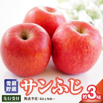 《先行受付》贈答規格 雪蔵貯蔵 サンふじ 約3kg【2025年4月上旬頃～発送予定】015-067