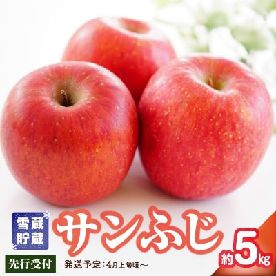 《先行受付》家庭用 雪蔵貯蔵 サンふじ 約5kg【2026年4月上旬発送予定】 015-051