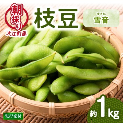 《先行受付》枝豆(雪音)約1kg【2025年8月末より順次発送予定】 022-004