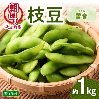 《先行受付》枝豆(雪音)約1kg【2026年8月末より順次発送予定】 022-004 