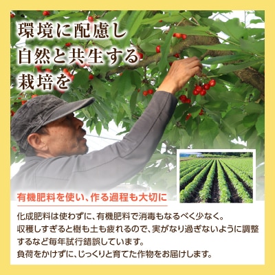 《先行受付》枝豆(雪音)約1kg【2026年8月末より順次発送予定】 022-004 