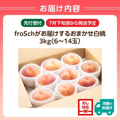≪先行受付≫ froSchがお届けするおまかせ白桃 約3kg 060-002