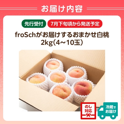 ≪先行受付≫ froSchがお届けするおまかせ白桃 約2kg 060-001 