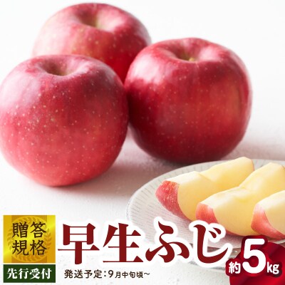 《先行受付》贈答規格 早生ふじ約5kg【2025年9月中旬頃～発送予定】 015-054