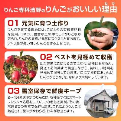 《先行受付》贈答規格 早生ふじ約5kg【2025年9月中旬頃～発送予定】 015-054