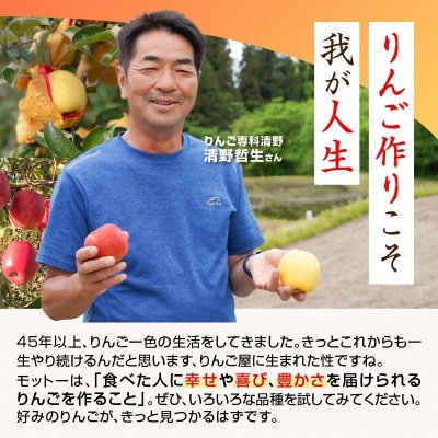 《先行受付》贈答規格 早生ふじ約5kg【2026年9月中旬頃～発送予定】 015-054