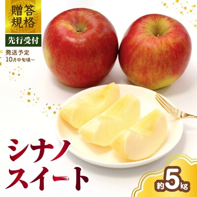 《先行受付》 贈答規格 シナノスイート約5kg【2025年10月中旬頃～発送予定】 015-056