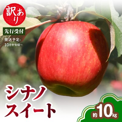 《先行受付》訳あり シナノスイート約10kg【2025年10月中旬～発送予定】 015-057