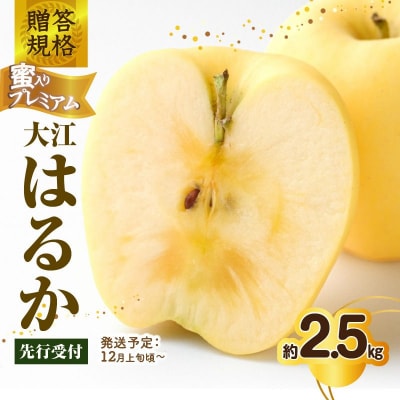 《先行受付》贈答規格 蜜入りプレミアム大江はるか約2.5kg 特秀～秀 015-059