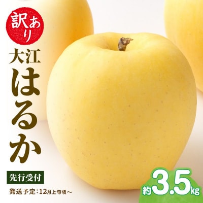 《先行受付》訳あり 大江はるか約3.5kg【2026年12月上旬～発送予定】 015-060