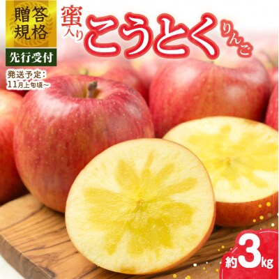 《先行受付》贈答規格 蜜入りこうとくりんご約3kg【2025年11月上旬～発送予定】 015-058