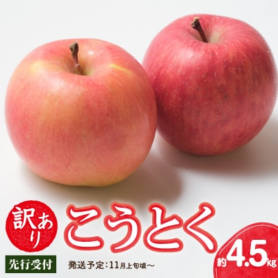 《先行受付》訳ありこうとく約4.5kg【2025年11月上旬～発送予定】 015-063