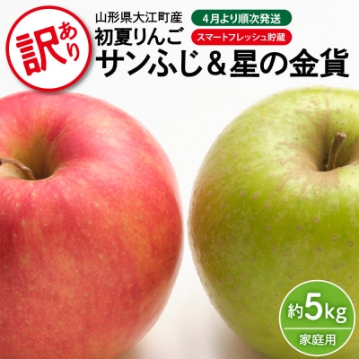 《先行受付》訳あり 初夏りんご 家庭用サンふじ&星の金貨 約5kg 028-023