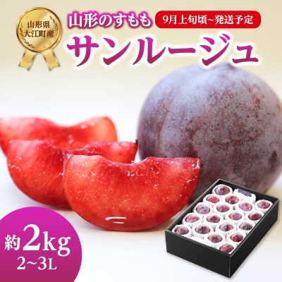《先行受付》すもも「サンルージュ」約2kg【2025年9月上旬頃～発送予定】 001-079