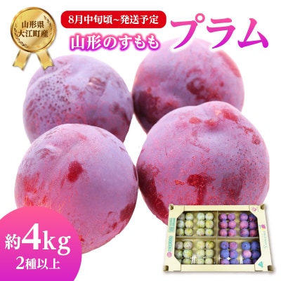 《先行受付》すもも(プラム)約4kg 2種以上【2025年8月中旬頃～発送予定】001-076 