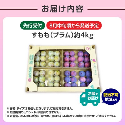 《先行受付》すもも(プラム)約4kg 2種以上【2026年8月中旬頃～発送予定】001-076 