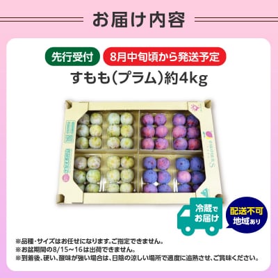 《先行受付》すもも(プラム)約4kg 2種以上【2026年8月中旬頃～発送予定】001-076 