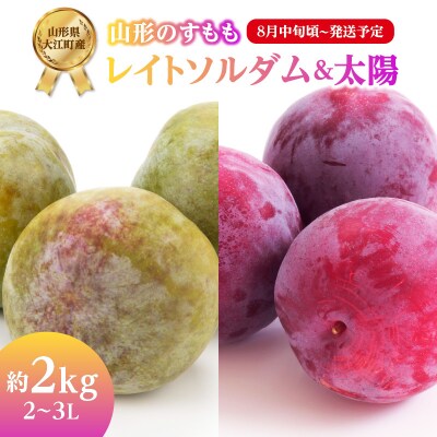 《先行受付》すもも「レイトソルダム」「太陽」約2kg 2～3L【8月中旬頃～発送予定】001-078