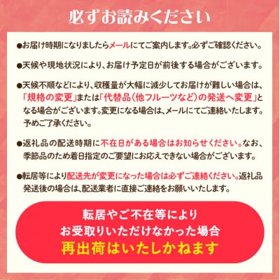 《先行受付》すもも「レイトソルダム」「太陽」約2kg 2～3L【8月中旬頃～発送予定】001-078