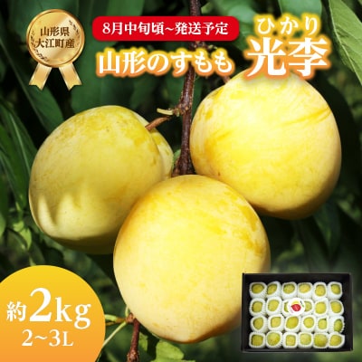 《先行受付》すもも「光李(ひかり)」約2kg 2～3L【8月中旬頃～発送予定】001-080