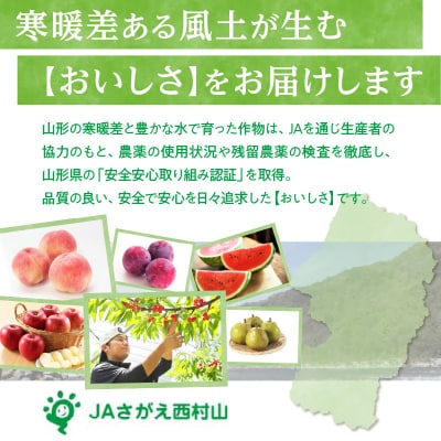 《先行受付》すもも「光李(ひかり)」約2kg 2～3L【8月中旬頃～発送予定】001-080