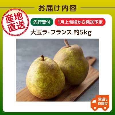 ≪先行受付≫ 特別栽培 大玉 ラフランス約5kg 秀品 【2027年1月より発送】 025-023