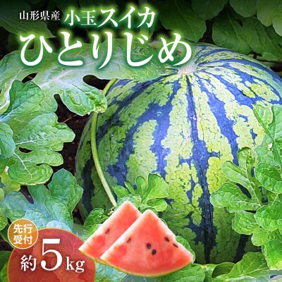 《先行受付》小玉スイカ ひとりじめ 約5kg【2025年7月上旬頃～発送予定】043-004