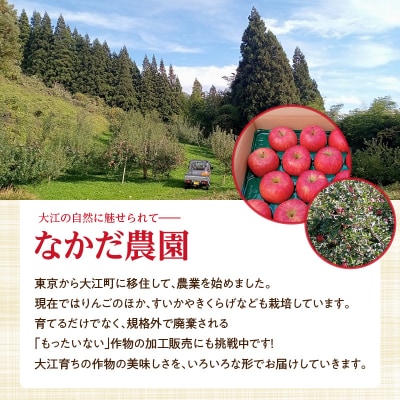 《先行受付》小玉スイカ ひとりじめ 約5kg【2026年7月上旬頃～順次発送予定】043-004