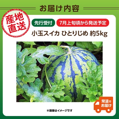 《先行受付》小玉スイカ ひとりじめ 約5kg【2026年7月上旬頃～順次発送予定】043-004
