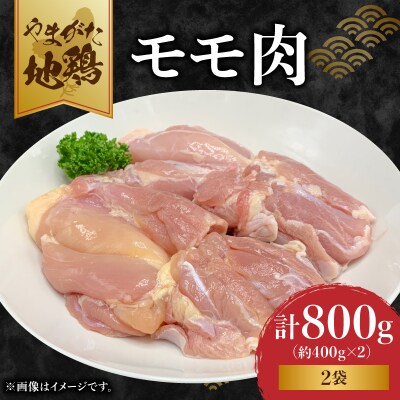 やまがた地鶏「モモ肉」 2袋 060-007