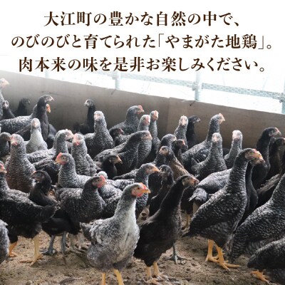 やまがた地鶏「モモ肉」 2袋 060-007