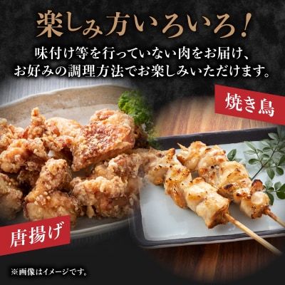やまがた地鶏「モモ肉」 2袋 060-007
