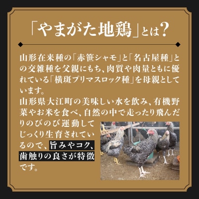 やまがた地鶏「モモ肉」 2袋 060-007