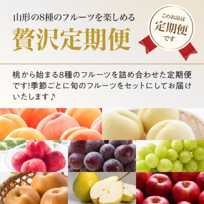 ≪先行受付≫8種のフルーツ詰合せセット★スペシャル便【定期便全4回】 060-T05