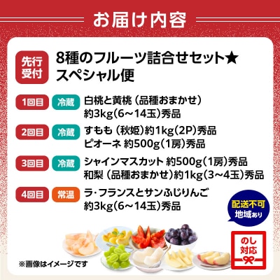 ≪先行受付≫8種のフルーツ詰合せセット★スペシャル便【定期便全4回】 060-T05