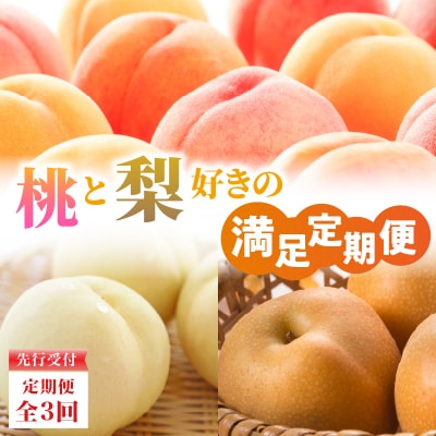 ≪先行受付≫ 桃と梨好きの満足定期便【定期便全3回】 060-T10