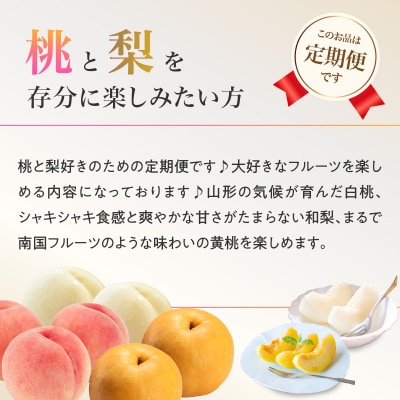 ≪先行受付≫ 桃と梨好きの満足定期便【定期便全3回】 060-T10