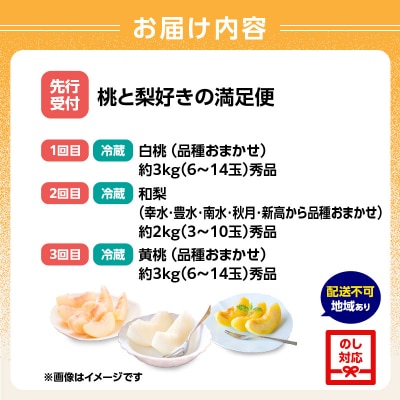 ≪先行受付≫ 桃と梨好きの満足定期便【定期便全3回】 060-T10