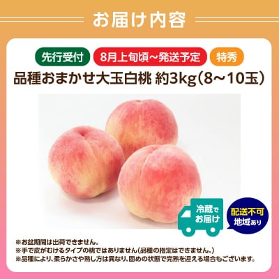 《先行受付》品種おまかせ 大玉白桃 約3kg 特秀【2026年8月上旬頃~発送予定】001-100