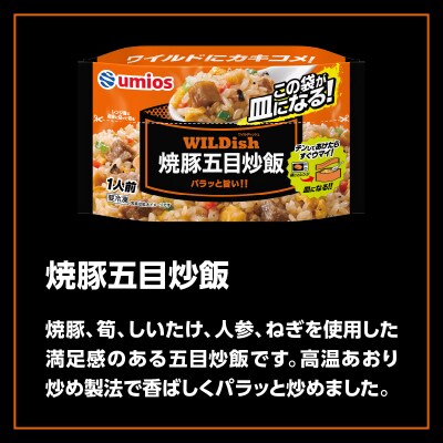 Umios 冷凍食品 WILDish 焼豚五目炒飯 1人前×16個入り 045-007
