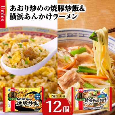 Umios 冷凍食品 あおり炒めの焼豚炒飯&横浜あんかけラーメン詰合せセット 045-006